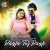 About Pagla Tor Pagli Song